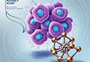 Bioassays/Potency Assays – Regulatory Requirements, Development and Routine Use
